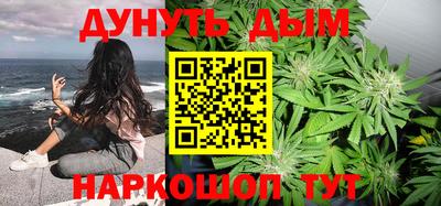 шишки Новозыбков