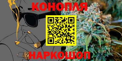 шишки Новозыбков