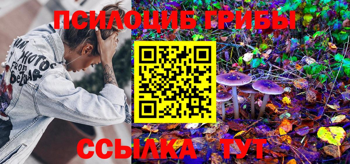 Галлюциногенные грибы GOLDEN TEACHER  Вход с VPN  Реутов 