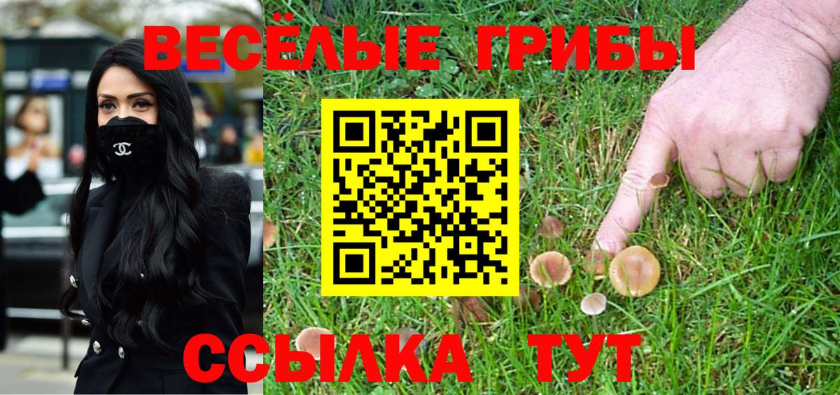 Галлюциногенные грибы мицелий Реутов