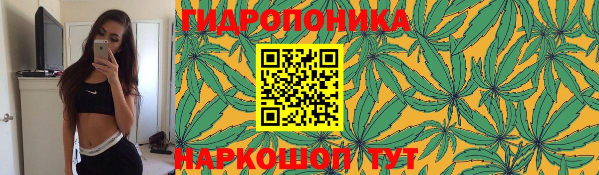 Реутов  Конопля Bruce Banner  Бошки Шишки White Widow  Марихуана семена  Вход с VPN  Каннабис THC 21% 